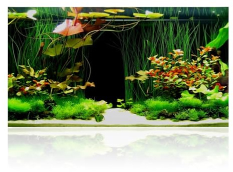 ECVUKQ Aquarium Poster, 90x40 cm Aquarium Rückwand Hintergrund Folie Selbstklebende Unterwasser Aquarien Fotorückwand Dekorationen Wasser Gras Aquaristik Rückwände Rückwandfolie für Terrarium
