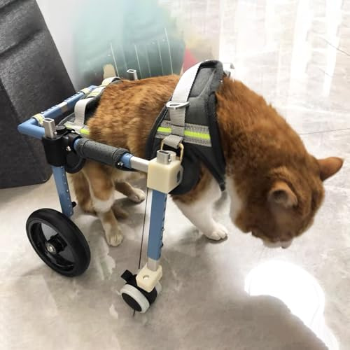 4 Wheel Cat Wheelchair for Indoor Cats, Large Breed Dog Wheelchairs Full Support, Adjustable Aluminum Pet Mobility Aid, Disabled Dog Leg Braces(Size M)