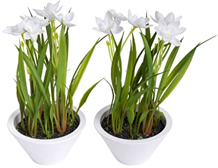 Nova-Nature künstliche Frühlingsblume Narzissen-Arrangement im weißen Kunststofftopf (2 Stück)