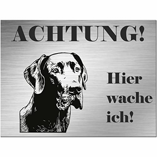 Indigos UG - Schild Deutsche Dogge - bedruckt - Achtung Hier wache ich! - Aluverbundplatte Edelstahl Look - 20x15 cm - Spruch - Deko Geschenkidee für Ihren Hund - Zaun - Türschild - Hinweisschild