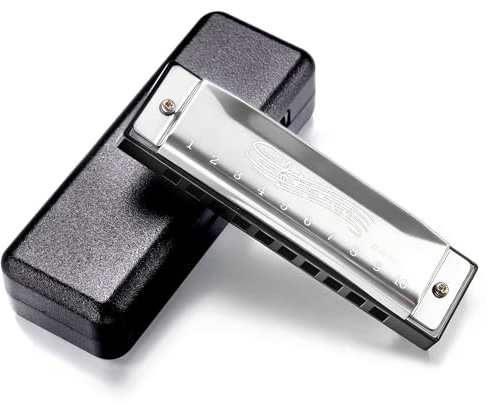 10 Hole 20 Tone Diatonic Blues Harmonica Key of C, Stainless Steel Silver Mouth Organ, Ideal Gift for Adults, Beginners & Music Lovers