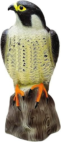 Unibos | Falcon Decoy Bird Scarer | Life like Colouring | Large Realistic Decoy | Plastic Bird Repeller | Garden Pond Outdoor | Beige - One Size