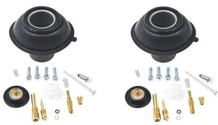 SHYYBD Kit De Réparation De Carburateur De Moto pour H&Onda VLX 600 Steed Shade VT600 1994-2003 Joint De Piston, De Soupape À Pointeau Carburateurs Réparation Kit