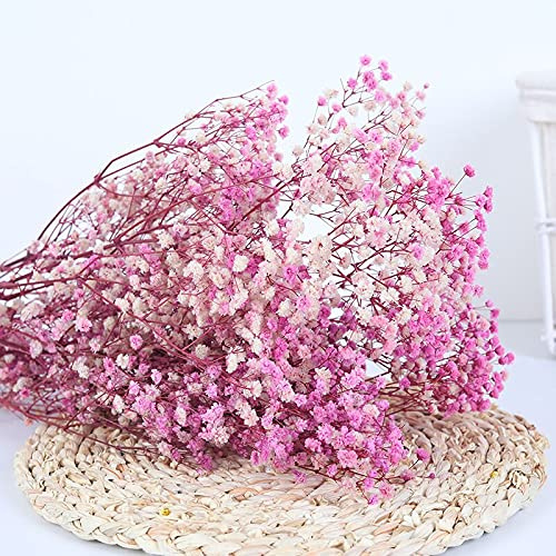 YIWOYI Natürliche Trockenblume, Schleierkraut, frisch getrocknete Blumen, Gypsophila Paniculata, Blumensträuße für Hochzeit, Party, Heimdekoration, 30 - 40 cm, 30 g, Rosa / Violett