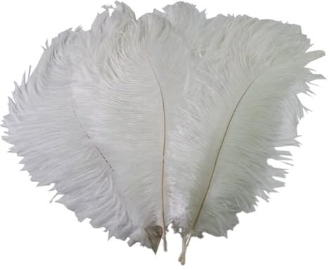 50Pcs natürliche weiße Straußfedern 15-20cm schwanzige Federn für Hochzeitsstücke Home Dekoration DIY Handwerksparty Decoration | Kleine flauschige natürliche Straußenfedern zum Basteln, Vase, Hochzeit, Party, Weihnachtsbaum
