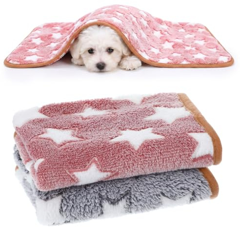 Neyauo 2 Stück 60 X 40 cm Kuscheldecke Hund, Hunde Decke, Chinchillas | Flauschig, Waschbare Dog Blanket, Couch Decke Hund, für Kaninchen, Hamster, Katzen, Frettchen