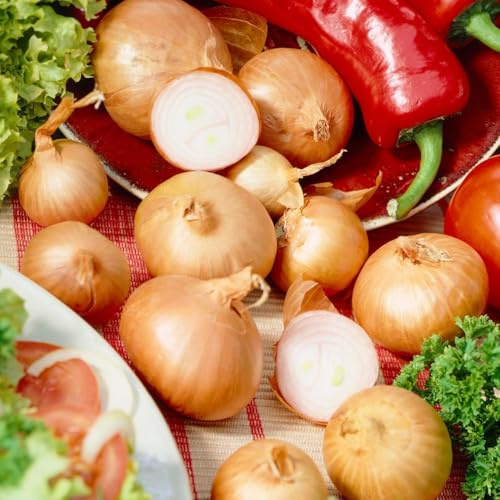 Vinterschalottenlök Red Sun – 500g Lök – Mildt Stark