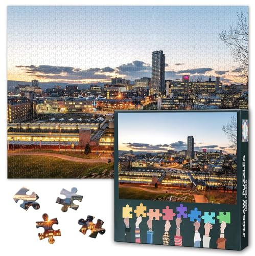 Sheffield UK Skyline Jigsaw Puzzle 1000 Pieces for Adults Urban Landscape Cityscape Puzzle Modern City Painting Artwork Home Decor Wall Challenge 27.5x19.7 Inch | 1000-piece jigsaw with poster & lettered backs; for travel lovers, home decor, or gift. Finished size 27.5x19.7 in