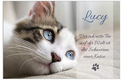 Hundeschild Türschild mit deinem Hund Tierschilder Katze Hase & Co. UV-beständiger und wetterfester Namen- Text- Fotodruck Wandbild Dekoschild mit eigenem Foto und Spruch M7