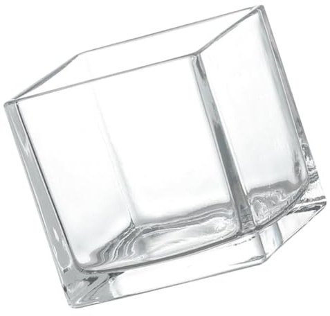 SOLUSTRE Vaso Quadrato in Vetro Trasparente 10x10 Cm Vaso Idroponico Per Fiori Decorazione e Ufficio Per Piante
