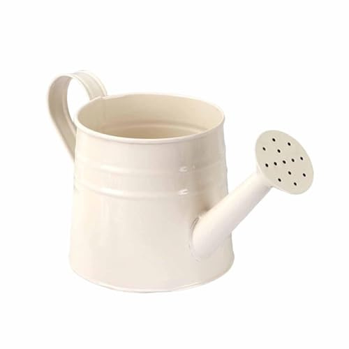 Mini annaffiatoio vaso per fiori per artigianato, bomboniere, robusto, bianco, 24,5 x 11,5 cm