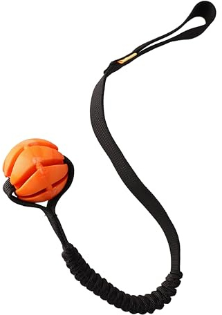 Dingo Hundespielzeug mit Ball, 6 cm Griff, Bungee 65 cm | Training, Apportieren, Modell 15675