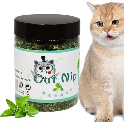 Generico Planta de hierba gatera | Hierba gatera para gatos y gatitos, atractivo interactivo, calmante y divertido para gatitos de interior, kit de comida para plantas y diversión