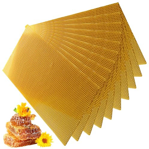 CAKEEYUM Hojas de Cera de Abejas, 10 Piezas de Cera Natural de 16, 5x7, 7 Pulgadas para Marcos de Abejas, de Amarilla para Hacer Velas, Marcos de Colmena de, Hojas de Suministros de apicultur