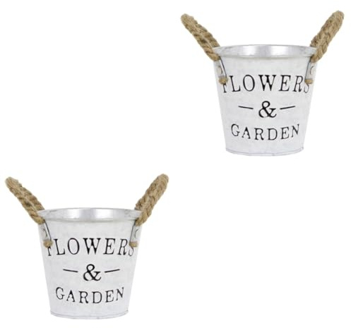 Alipis 2pcs Vintage Iron Flower Bucket Planter Flower Tin Bucket for Decor Seedling Watering Can Desktop Plant Pot Garden Planter