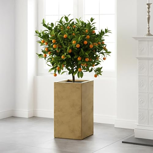 IDEALIST Plant Pots Indoor Plant Pot 60cm Tall, Gold Reinforced Stone, 33L | 1 Pack, H60 L27 W27 cm, 24x24 cm Opening, Large Size, Lightweight, Sturdy, Gold Plant Pot, Tall Square Planter