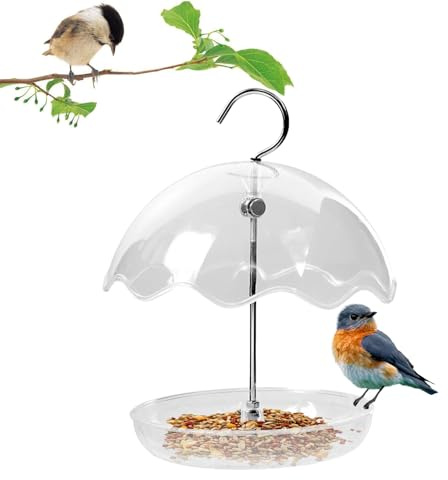Distributeur de Nourriture pour Oiseaux | Station Décorative À Design Ouvert | Petite Mangeoire À Oiseaux Accrochable Et Transparente | pour Jardin, Balcon, Terrasse, Patio, Observation et Nourrissage