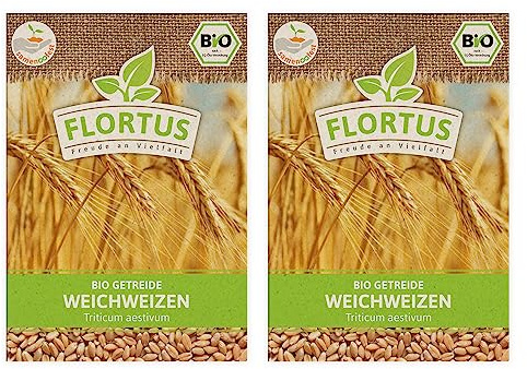 FLORTUS – BIO Weichweizen Getreide Samen 150g – ertragreicher Weizen zur Herstellung von Mehl, Weizenkleie, Weichweizengrieß, Weizengras & Microgreens – höchste Bioqualität & ohne Gentechnik