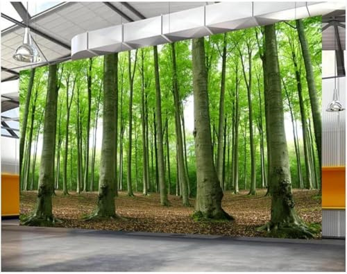 Vlies Fototapete Wald 3D Effekt 300x210 Baum Grün Foto Tapete Schlafzimmer Wohnzimmer Moderne XXL Wandtapete Groß Vliestapete Fototapeten Poster Wand Dekoration a.2924