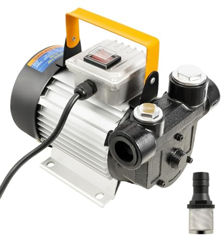 MEHOOSPVN Pompe à diesel 220 V 550 W Pompe à huile électrique Pompe d'aspiration d'huile auto-amorçante 60 l min 2800 tr/min avec filtre Pompe de transvasement Pompe à huile, Pompe de transfert de