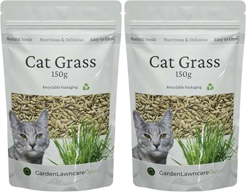 Cat Grass Seeds UK for Sowing - Grow Fresh Grass Indoor or Outdoors - Fast Growing - (Oat, 150g) (Pack of 2)