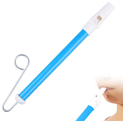 Slide Whistle Instrument Kazoo Flute Use for Music Lovers Party Interesting Gift