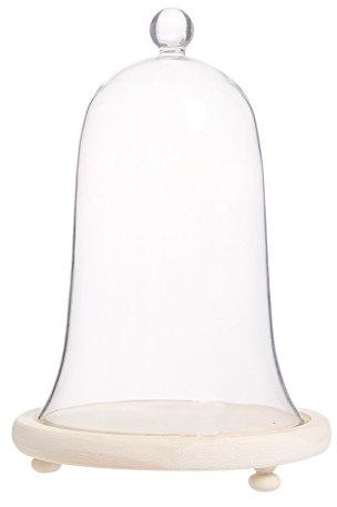 Artlass Glass Bell Shape Display Dome with Wooden Base 8.6 x 5.9