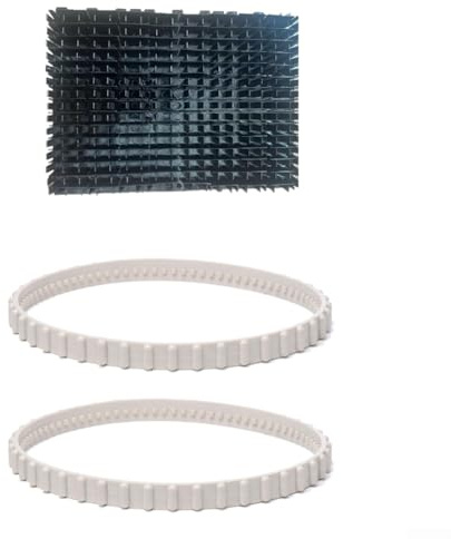 Kit di pulizia per piscina, 2 cinghie di trasmissione RCX23002 con spazzola a rullo RCX26008, compatibile con i modelli QC Plus
