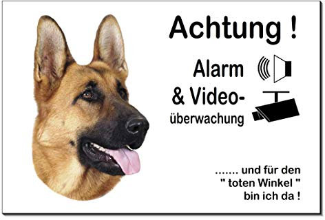 Schäferhund-Alarm-Video-Überwachung-Hund-3 Größen-Schild-Hundeschild-Aluminium-Hunde-Tierschild-Warnschild-Hinweisschild (1451-93 -30 x 20 cm m. Eigentext + Bild)