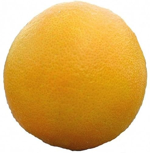 Robinalia Naranjas Zumo Valencia 15 kilos