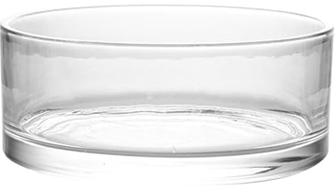 TOVINANNA Vase en Verre Transparent Ronde 20x20x8 cm – Terrarium Hydroponique – pour Jardin Intérieur, Salon, Décoration Plante