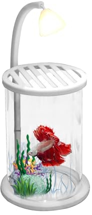Betta akvarium – PP- 9,65 x 3,94 x 3,94 tum 750 g | Nattlampa akvarium för nybörjare | Små fiskhus med USB-kabel för - och kontorsinredning
