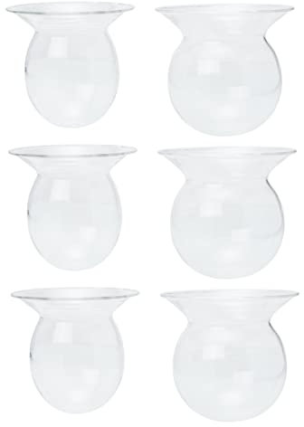 OFFSCH 6piezas Jarrones Hidropónicos Transparentes para Flores Maceteros Creativos De Vidrio Botellitas Decorativas Pequeñas para Arreglo Floral y Decoración De Interiores