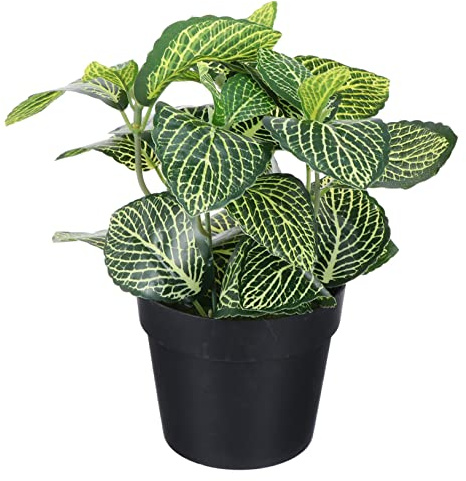 MAGICLULU Simulated Plant Pots for Desktop Fake Fittonia Decoration Faux Plant Decor for Home Decor for Indoor and