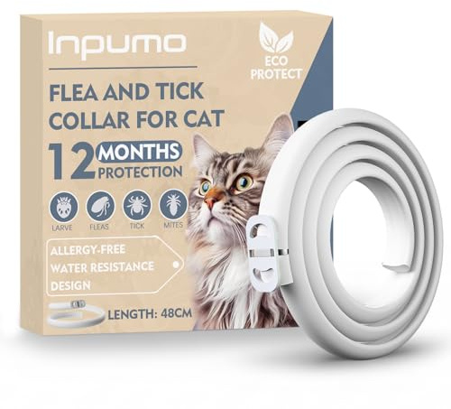 Collar Antiparasitario Gatos, Protección de 24 Meses, Ajustable, Impermeable, Ideal para Gatitos, Collar Antiparasitario Gatos Medianos y Grandes (1pcs)