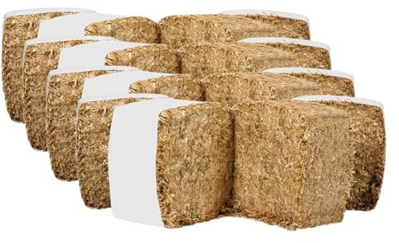 Lettiera in Paglia per Cavalli, Polli e Conigli - Assorbe il 200% - Fondo per Box 4 Confezioni 52 kg / 4 mq