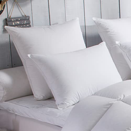 DODO - Oreiller Medium 60 x 60 cm - Anti-Acariens - Enveloppe 100% Coton Percale - Garnissage 70% Duvet d'oie, 30% Plumettes - Maintien Medium et Gonflant - Lavable en Machine à 40°C