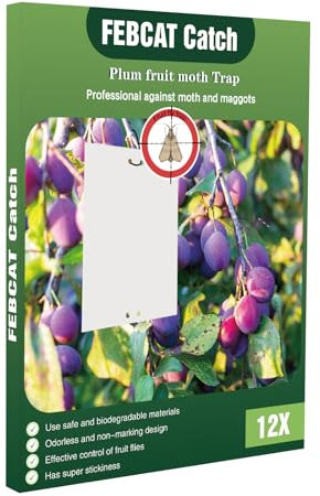12 Pezzi Trappola per Tarme Prugne, Trappole Appiccicose Tarme Prugne, Trappola per Insetti per Albero da Frutto, Trappole per Uso Esterno Per Tarme Ulivi Mosca Della Frutta Afidi Minatori