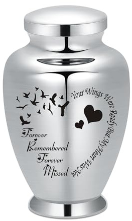 AIWENXI Urnas de cremación grandes para cenizas mascotas/cenizas humanas Memorial grandes urnas de acero inoxidable cremación recuerdo para cenizas titular (plata, corazón de pájaro)
