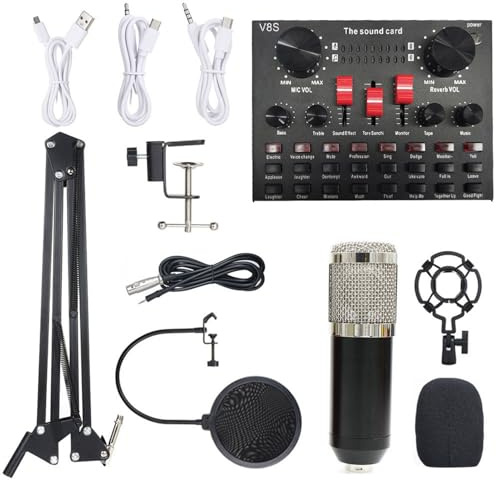 RiToEasysports Microphone BM800, Ensemble de Cartes Sonores en Direct avec 16 Effets Sonores et Fonction BT pour L'enregistrement (Noir et Argent)