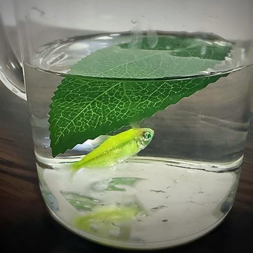 Leaf to Fish Magiska tricks löv försvinner till fisk som ser visuell förändring magisk scen produktion illusioner gimmicks rekvisita