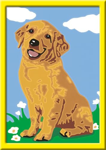 Ravensburger CreArt 28511 - Little Golden Retriever - Målning av siffror Hund för barn i åldern 7 och uppåt, målningsset med ram, pensel och akrylfärger, present till flickor och pojkar