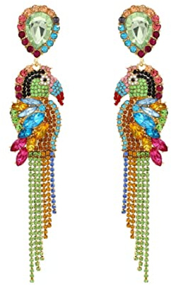 Parrot Earrings for Women, Cute Bird Parrot Tassel Earrings for Girls, Beaded Parrot Dangle Earrings Hypoallergenic, Tropical Parrot Animal Bohemian Drop Earrings, Parrot Teardrop Earrings Studs