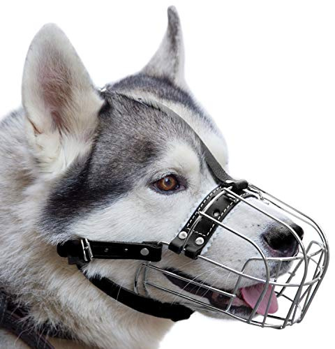 Nr. 5 Hunde-Maulkörbe aus verchromtem Metall, Drahtkorb, echtes Leder, verstellbare Lederriemen, Umfang ist 29 - 32 cm, Länge 8,9 - 9,9 cm