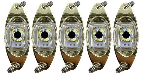 5 Pezzi Luce per Esca da Pesca, Luci per Esche a LED per Pesca Profonda Subacquea, Lampada Lampeggiante per Esche da Pesca per Acqua Dolce Salata
