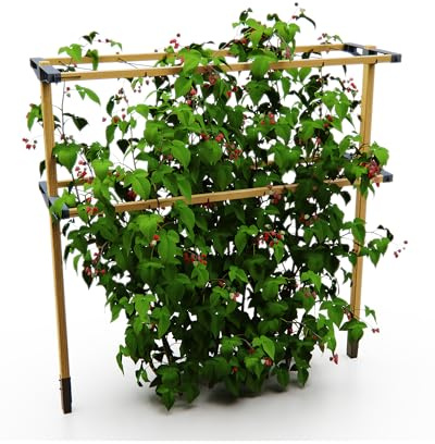 Gusta Garden Berry Buddy - Flexible Rankhilfe für Beeren: Himbeeren, Brombeeren & Heidelbeeren, erweiterbar, produziert in der EU, Rankgitter aus Holz (480cm)