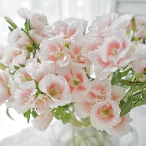 Semi di azalea estiva, per luoghi soleggiati semi di d'appartamento da esterno resistenti serre da balcone rare 30pcs