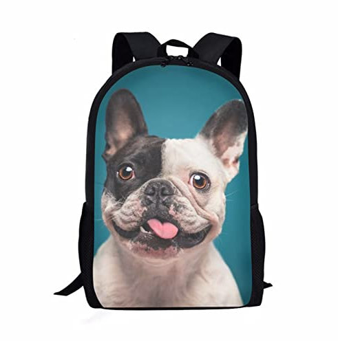 HUIACONG Mops Hund wiederverwendbare Lunchtasche, grüne Kindertasche, niedlicher Tierdruck-Rucksack, Universität, Studenten-Rucksäcke für Jungen und Mädchen, Reisen, Rucksack mit seitlichen
