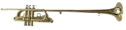 RAWARS Trompeten für Anfänger Trompeteninstrument B-Trompete Verlängertes Musikinstrument