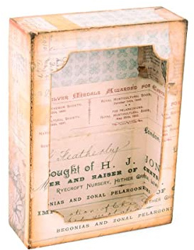 Troquel Bigz XL con Framelits 664419 Caja de curiosidad by Tim Holtz